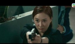 飞虎1国语在线观看,热血警匪激战，在线观看燃情再现